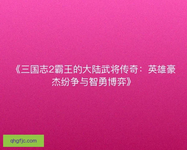 《三国志2霸王的大陆武将传奇：英雄豪杰纷争与智勇博弈》